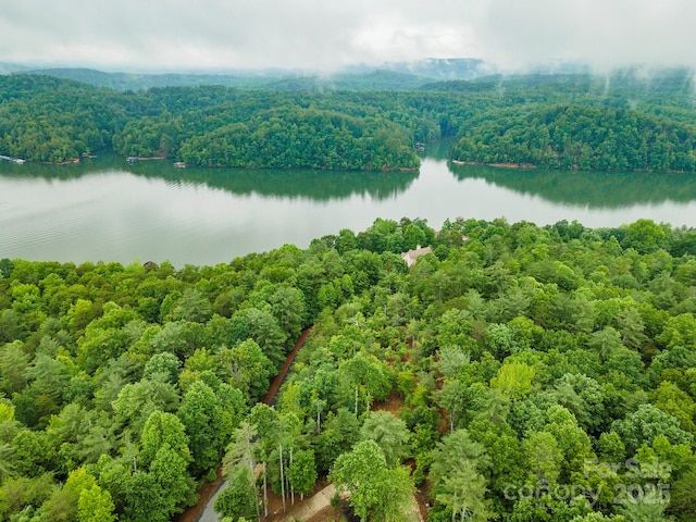 209 Harborside Dr, Nebo, NC 28761