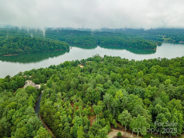 209 Harborside Dr, Nebo, NC 28761
