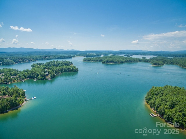 209 Harborside Dr, Nebo, NC 28761