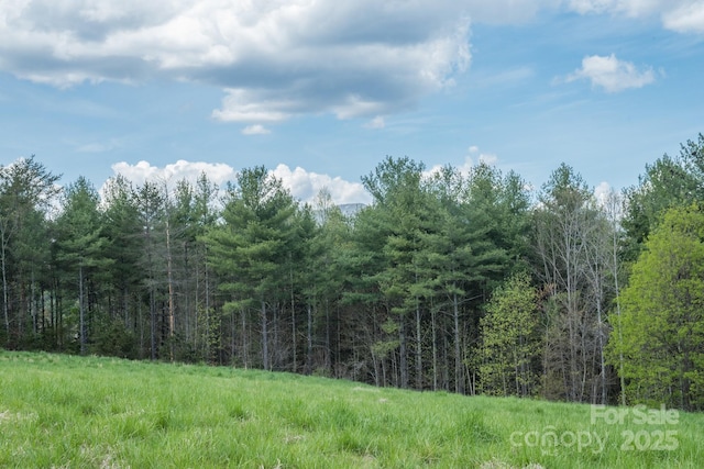 209 Harborside Dr, Nebo, NC 28761