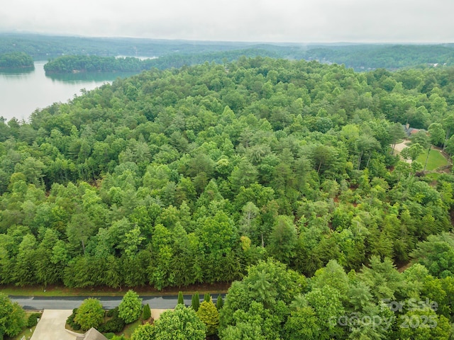 209 Harborside Dr, Nebo, NC 28761
