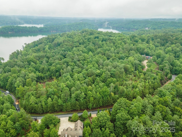 209 Harborside Dr, Nebo, NC 28761