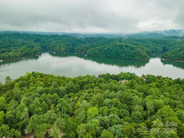 209 Harborside Dr, Nebo, NC 28761