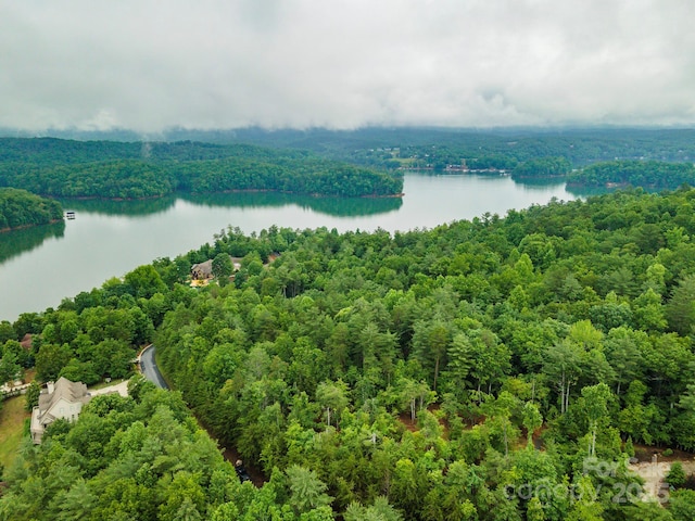 209 Harborside Dr, Nebo, NC 28761