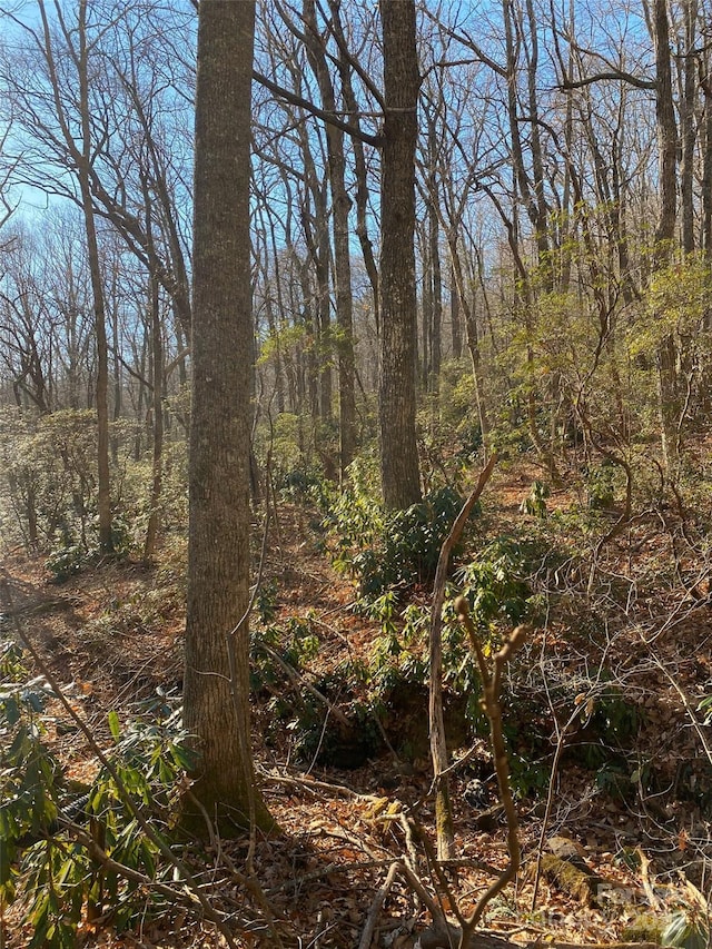 99999 Long Branch Rd Unit 1, Swannanoa, NC 28778