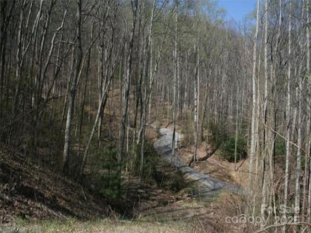 99999 Long Branch Rd Unit 1, Swannanoa, NC 28778