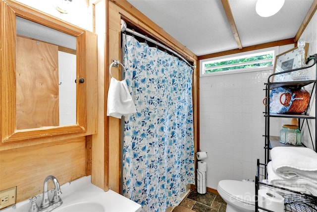 2289 Mccloud St, Denver, NC 28037 - full bath featuring toilet, a shower with shower curtain, a textured ceiling, stone finish flooring, and vanity