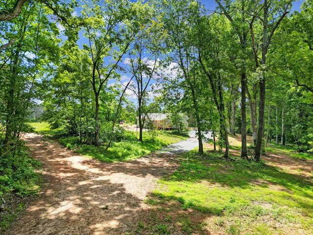 118 Henry St, Lawndale, NC 28090 - photo 32