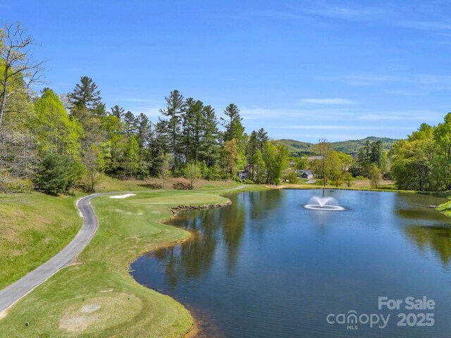 91 Triple Fairways Dr, Hendersonville, NC 28739 - photo 40