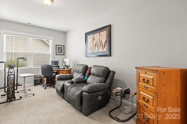 219 Broadleaf Dr, Denver, NC 28037 - office space with carpet flooring and baseboards