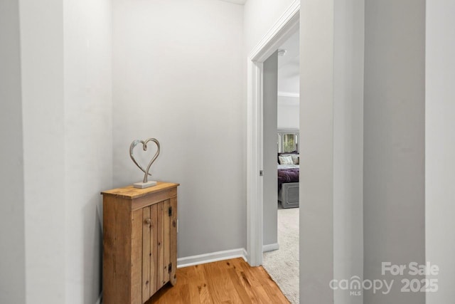 219 Broadleaf Dr, Denver, NC 28037 - hall featuring light wood finished floors and baseboards