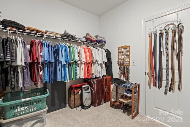 219 Broadleaf Dr, Denver, NC 28037 - walk in closet with carpet
