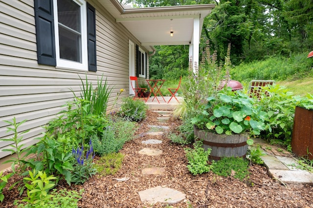 205 Cowan Cove Rd, Asheville, NC 28806 - view of yard with covered porch