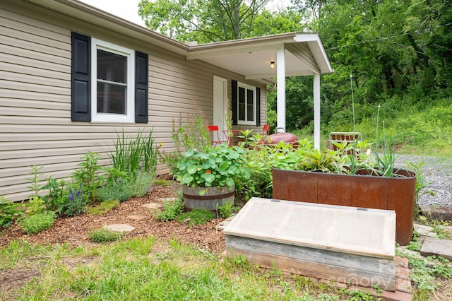205 Cowan Cove Rd, Asheville, NC 28806 - view of yard