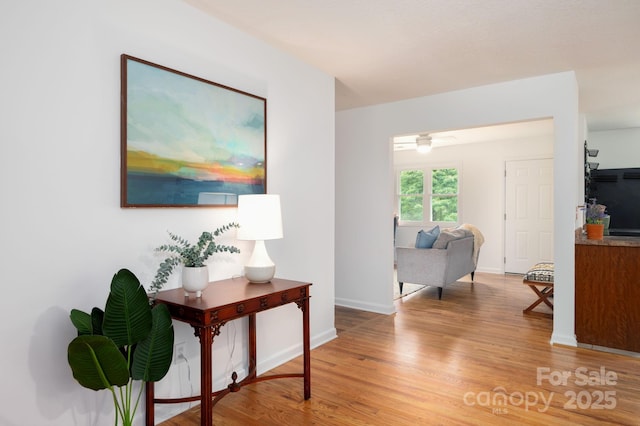 205 Cowan Cove Rd, Asheville, NC 28806 - hall with light wood-style flooring and baseboards