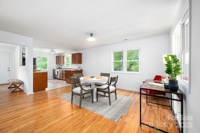 205 Cowan Cove Rd, Asheville, NC 28806 - dining room with light wood-style flooring and baseboards