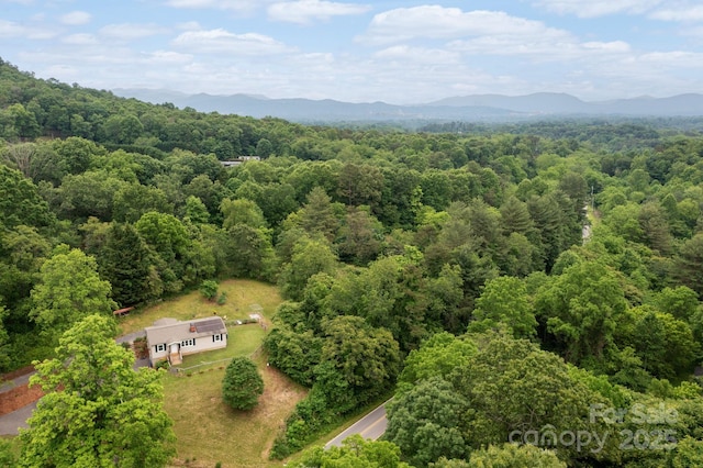 205 Cowan Cove Rd, Asheville, NC 28806 - view of subject property featuring a forest and a mountain backdrop