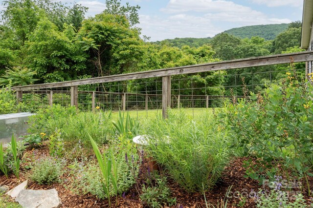205 Cowan Cove Rd, Asheville, NC 28806 - view of yard