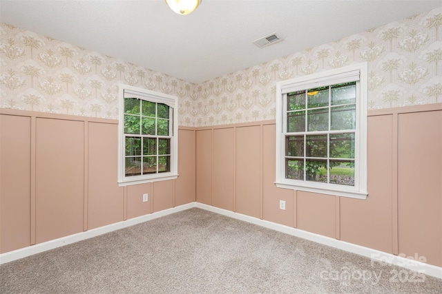 14027 Hackamore Dr, Matthews, NC 28105 - carpeted spare room with wallpapered walls, a decorative wall, and wainscoting