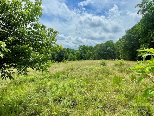 117 Autumn Woods Dr, Kings Mountain, NC 28086 - view of tree filled area