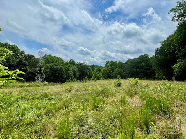 117 Autumn Woods Dr, Kings Mountain, NC 28086 - view of local wilderness