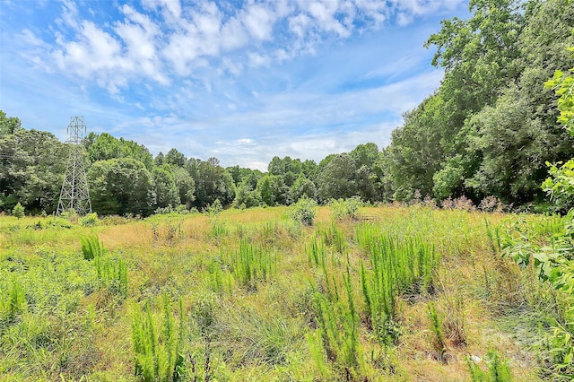 117 Autumn Woods Dr, Kings Mountain, NC 28086 - view of undeveloped land