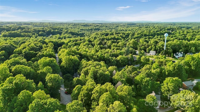 1700 Abbottsford Dr, Kernersville, NC 27284 - bird's eye view of a forest