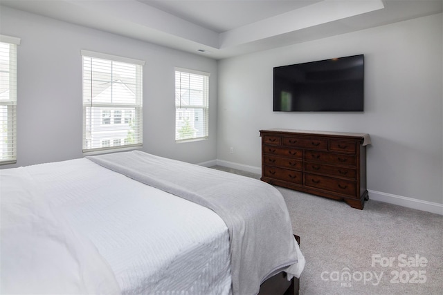 512 Morrows Turnout Way, Pineville, NC 28134 - bedroom with baseboards, carpet flooring, and a tray ceiling