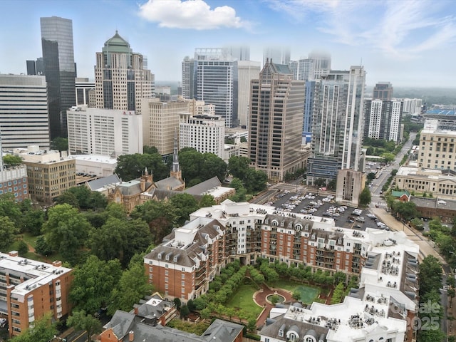 300 W 5th St Unit 339, Charlotte, NC 28202 - skyline view