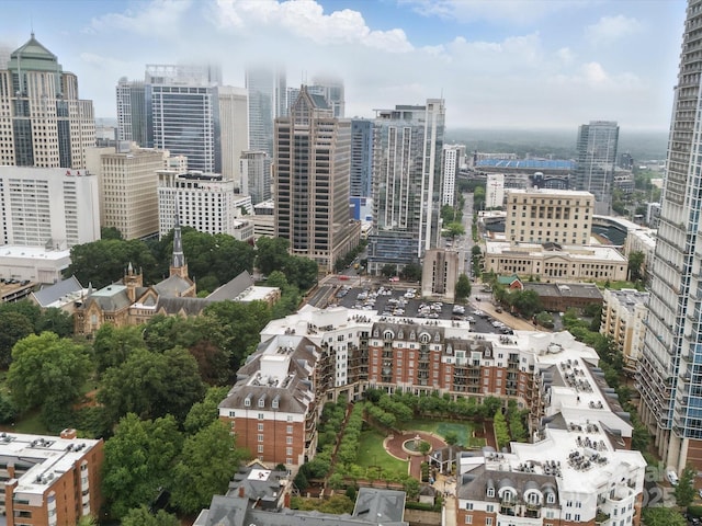 300 W 5th St Unit 339, Charlotte, NC 28202 - city view