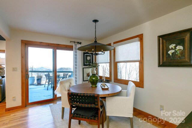 221 Ivy Ridge Rd, Burnsville, NC 28714 - photo 13