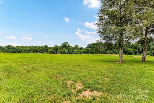 181 Lone Pine Rd, Statesville, NC 28625 - photo 36