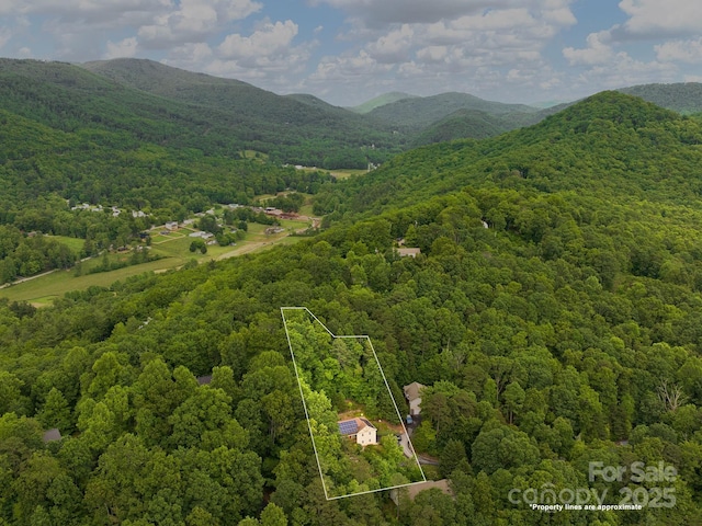 21 Kahluas Way, Fairview, NC 28730 - aerial view of property's location with property parcel outlined and a mountain backdrop