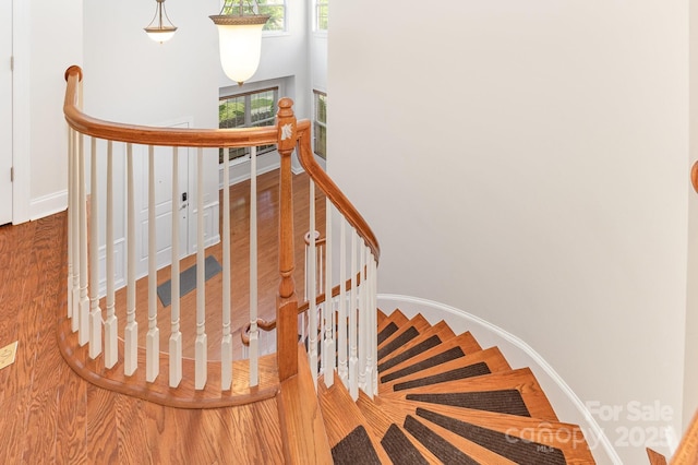 9429 Ridgeforest Dr, Charlotte, NC 28277 - photo 17