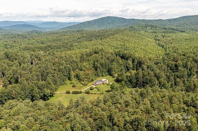 5595 Cloverfield Pl, Boomer, NC 28606 - photo 40