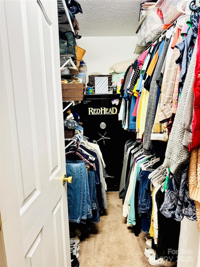 104 Laura Ct, Cherryville, NC 28021 - walk in closet featuring carpet flooring