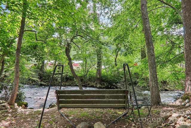 68 Cornwell Dr, Waynesville, NC 28786 - view of property's community