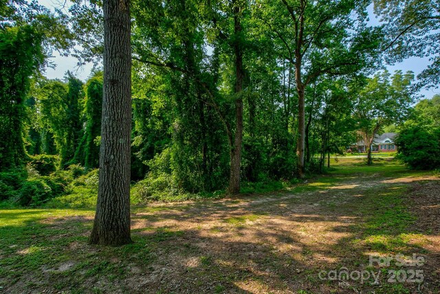 325 Chapman St, Chesterfield, SC 29709 - view of undeveloped land