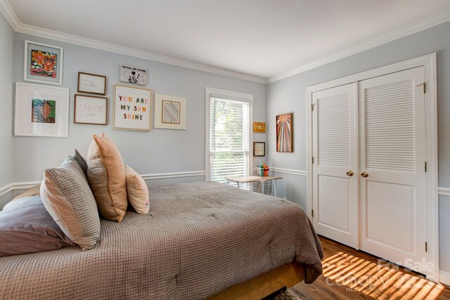 325 Chapman St, Chesterfield, SC 29709 - bedroom featuring ornamental molding, wood finished floors, and a closet