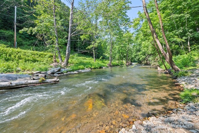 115 Serendipity Ln, Waynesville, NC 28785 - photo 39