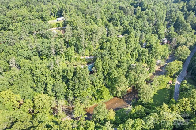 115 Serendipity Ln, Waynesville, NC 28785 - photo 40