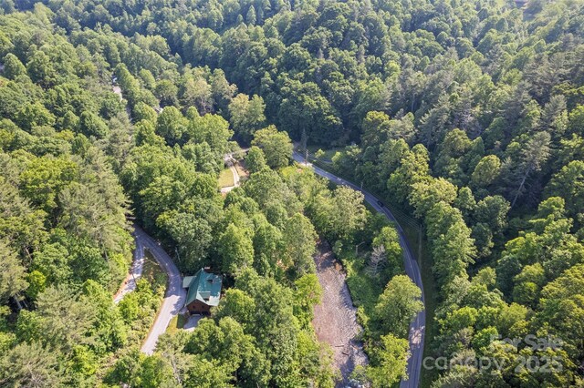 115 Serendipity Ln, Waynesville, NC 28785 - photo 41