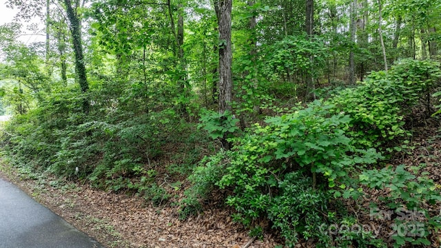 1135 Pinebrook Ave SE, Valdese, NC 28690
