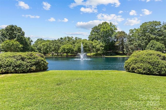 2424 Cumberland Ave, Charlotte, NC 28203 - water view