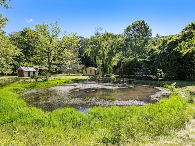 272 Pinners Cove Rd, Asheville, NC 28803 - view of yard with a wooded view and an outbuilding