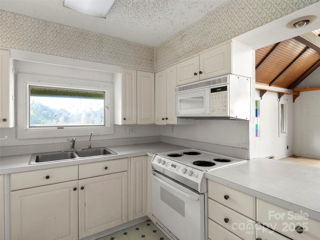 272 Pinners Cove Rd, Asheville, NC 28803 - kitchen featuring white appliances, a sink, light countertops, and white cabinetry