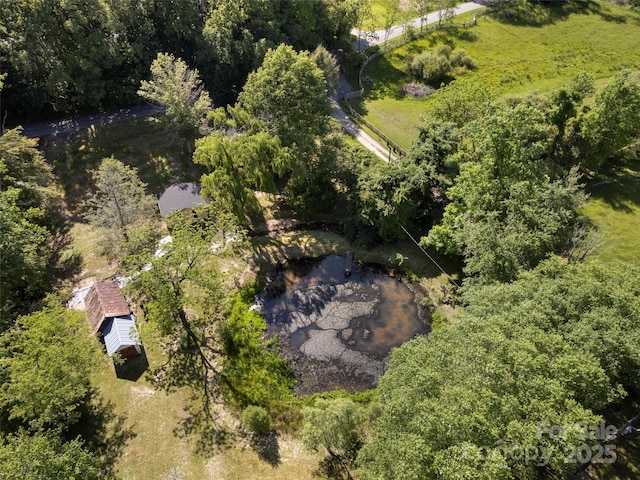 272 Pinners Cove Rd, Asheville, NC 28803 - aerial view