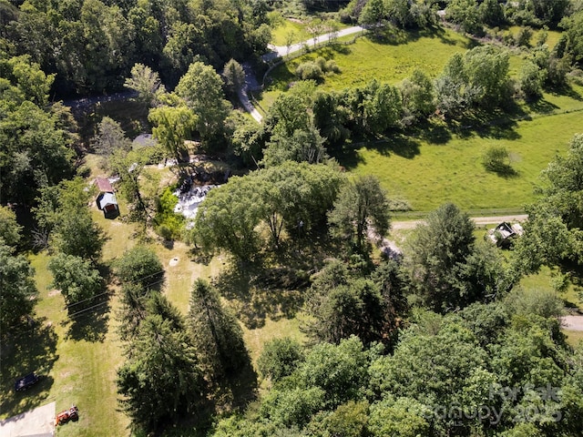 272 Pinners Cove Rd, Asheville, NC 28803 - drone / aerial view