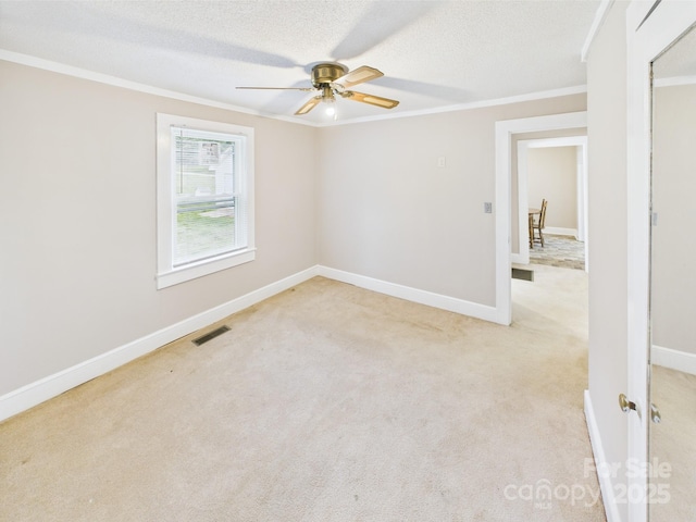 271 NC-16 Hwy N, Taylorsville, NC 28681 - empty room featuring a ceiling fan, ornamental molding, light carpet, baseboards, and a textured ceiling