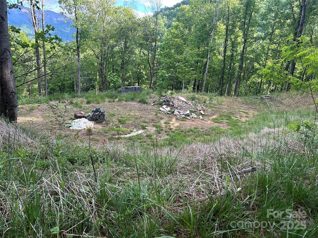 455 Spring Valley Dr Unit 43And 44, Waynesville, NC 28786 - photo 1